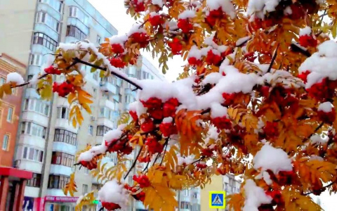 Погода в Сыктывкаре на 26 сентября: очень холодно и снежно
