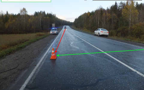 В Коми пенсионер на «семерке» влетел в лося