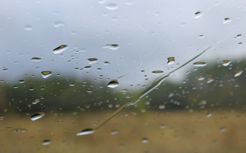 Погода в Сыктывкаре на 1 октября: относительно тепло и бесконечный дождь