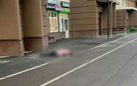 В Санкт-Петербурге погибла девушка из Сыктывкара