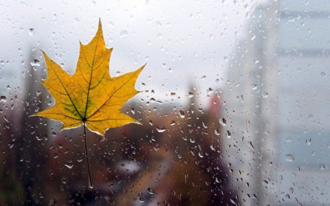 Погода в Сыктывкаре 5 октября: резкое потепление и мгновенное похолодание