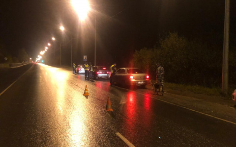 За неделю в Сыктывкаре под колесами авто пострадали восемь человек