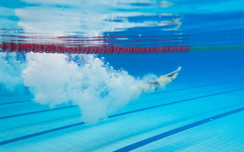 В Сыктывкаре 300 пловцов будут бороться за звание лучших