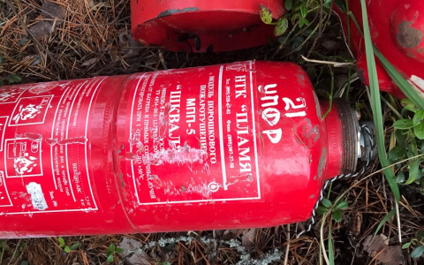 В лесу Коми нашли свалку огнетушителей из пенсионного фонда (фото)