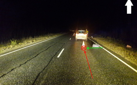 В Коми водитель с 25-летним стажем насмерть сбил человека