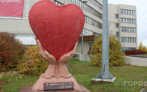 «В роддоме вспышка ветрянки»: сыктывкарцев напугали слухи об эпидемии