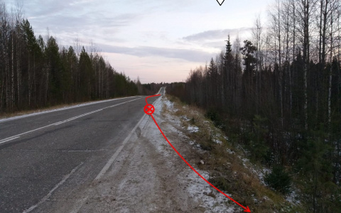 В Коми пьяный водитель вылетел в кювет вместе с тремя пассажирами