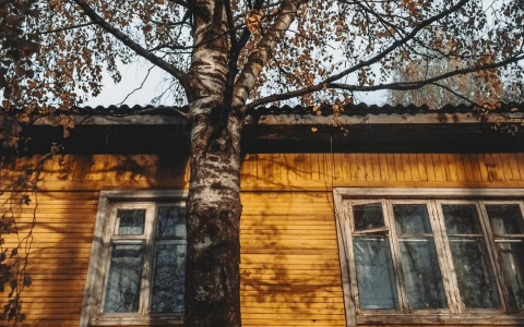 Фото дня в Сыктывкаре: дом, который преобразило солнце