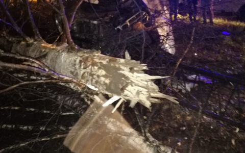 В Сыктывкаре иномарка вылетела на обочину и снесла дерево (фото)