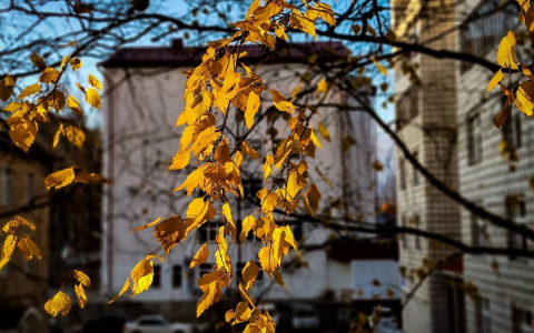 Фото дня в Сыктывкаре: свет выхватывает яркие краски из серости будней