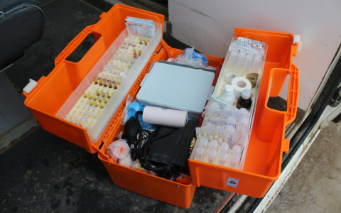 Компания Tele2 позаботилась о здоровье жителей Коми