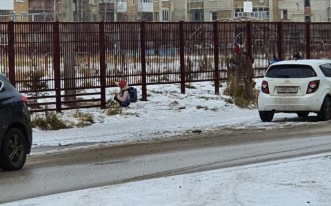 Нет калитки: в Коми дети ползут в школу под забором (фото)