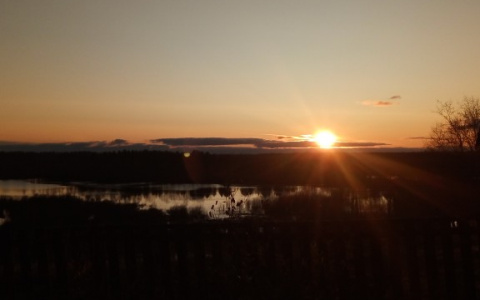 Погода в Сыктывкаре 29 октября: холодный ветер, пора теплее одеваться