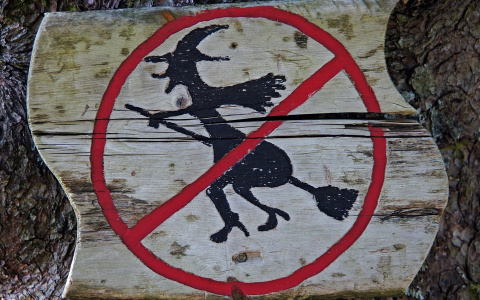 Хэллоуин запретили отмечать в библиотеках Сыктывкара