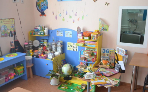 Следователи назвали причину смерти девочки в детсаду Коми