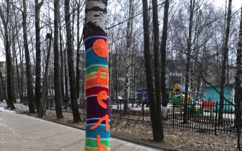 Фото дня в Сыктывкаре: дерево нарядили в цветной вязаный чулок