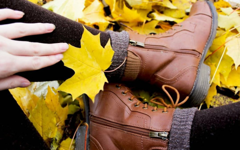 Фото дня: сыктывкарка вспоминает о теплой городской осени