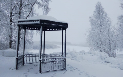 В Сыктывкаре появится место для кормления грудью на улице