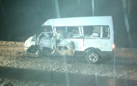 Под Сыктывкаром микроавтобус столкнулся с лесовозом: пострадал человек