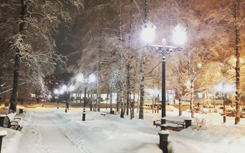 Фото дня в Сыктывкаре: заснеженные тропинки зимнего парка