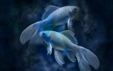 Гороскоп на 17 ноября: Овны должны сохранять выдержку, а Рыбы - готовиться к негативу