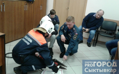 Как не стать жертвой ДТП и спасти близких: инструкция для сыктывкарцев