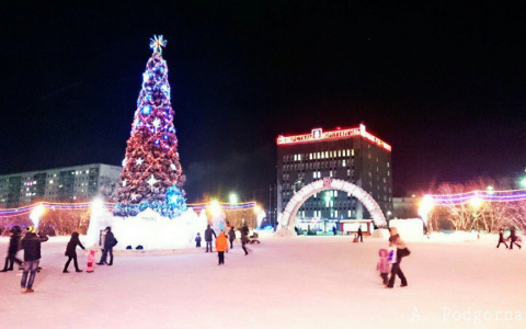 «Елка раздора»: в один из городов Коми привезли «не то» новогоднее дерево