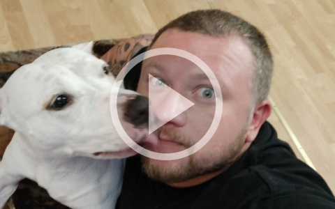 Сыктывкарец ведет трогательный блог о своей собаке-инвалиде (видео)