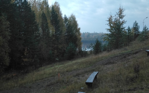 Фото дня в Сыктывкаре: безмятежность на тихом берегу реки