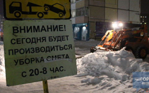 Погода в Сыктывкаре на 1 декабря: снегопады с утра до вечера