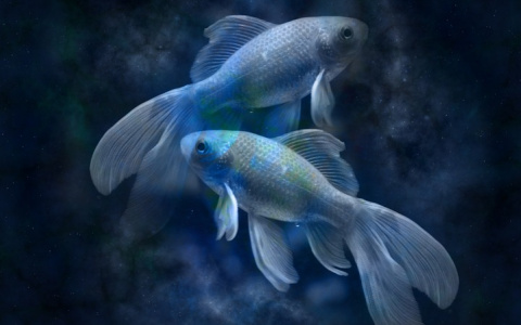 Гороскоп на 2 декабря: Рыб ждет скандал с любимым, а Весов - интересные встречи