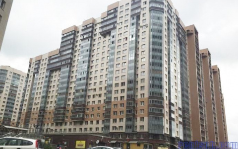 20-летняя девушка из Коми выпала из окна в Санкт-Петербурге