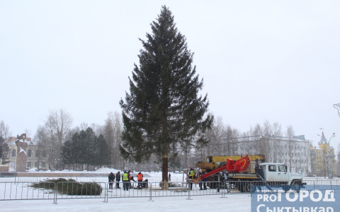 В Сыктывкаре устанавливают главный символ Нового года (фото)