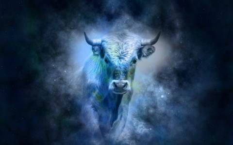 Гороскоп на 4 декабря: Овнов окутают тайны, а Тельцам стоит довериться судьбе