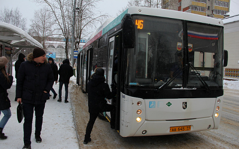 Стало известно, подешевеет ли проезд в Сыктывкаре из-за снижения транспортного налога