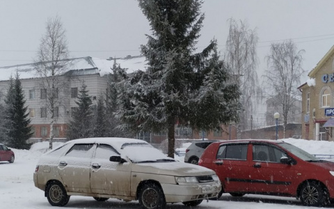 Жителям одного из сел в Коми пришлось скинуться на новую елку