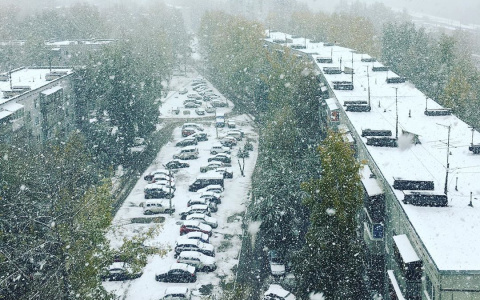 Погода в Сыктывкаре на 12 декабря: холодно и без осадков