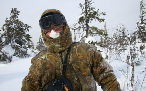 Инструкция для сыктывкарцев: как правильно выбрать живую новогоднюю елку