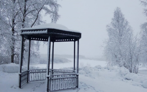 В Сыктывкаре нашли полубосую девушку, которая лежала в сугробе