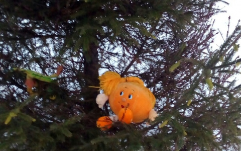 Фото дня в Сыктывкаре: горожане стихийно украшают игрушками одинокую елку в парке