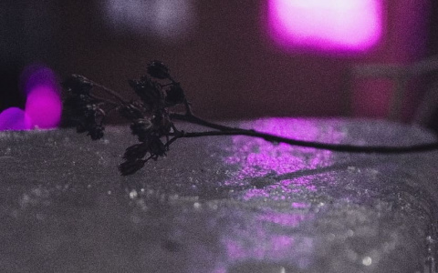 Фото дня в Сыктывкаре: вечерний город в неоновом свете