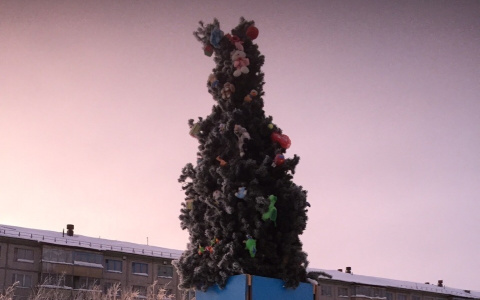 В Коми люди заставили власти заменить уродливую новогоднюю елку