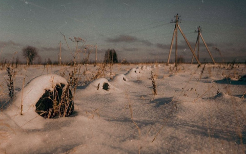 Зимний Сыктывкар в объективах горожан: 10 лучших фото