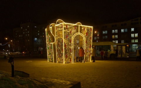 «Просим помочь»: сыктывкарцы собирают подарки к Новому Году для одиноких детей