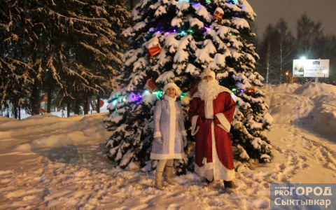 «Приставали к Снегурочке и наряжали пальму»: сыктывкарец рассказал, как работает Дедом Морозом