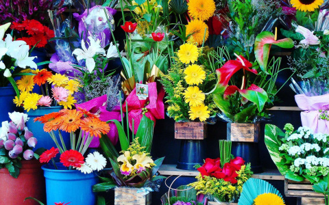 В Коми мужчина с ножом ворвался в магазин цветов и ограбил его