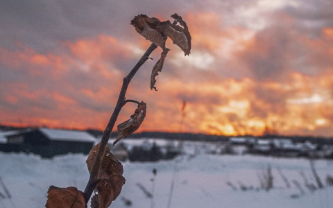 Фото дня в Сыктывкаре: горизонт, пылающий от солнца в морозный день