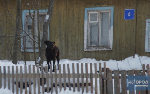 В Коми накануне Нового года погибли три брата