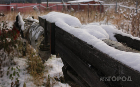 Погода в Сыктывкаре на 5 января: небольшой снег и гололед
