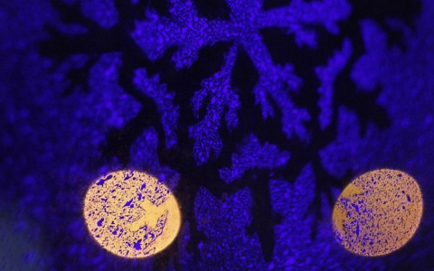 Фото дня от сыктывкарца: завораживающие зимние узоры